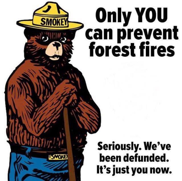 smokey the bear leaning on a shovel.  text top right: only you can prevent forest fires.  text bottom right: seriously.   we've been refunded.  its just you now