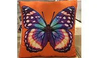 Please, enough with the dead butterflies! - Emily S. Damstra