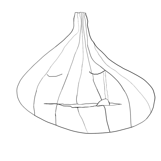 An onion crying and tasting its own tears