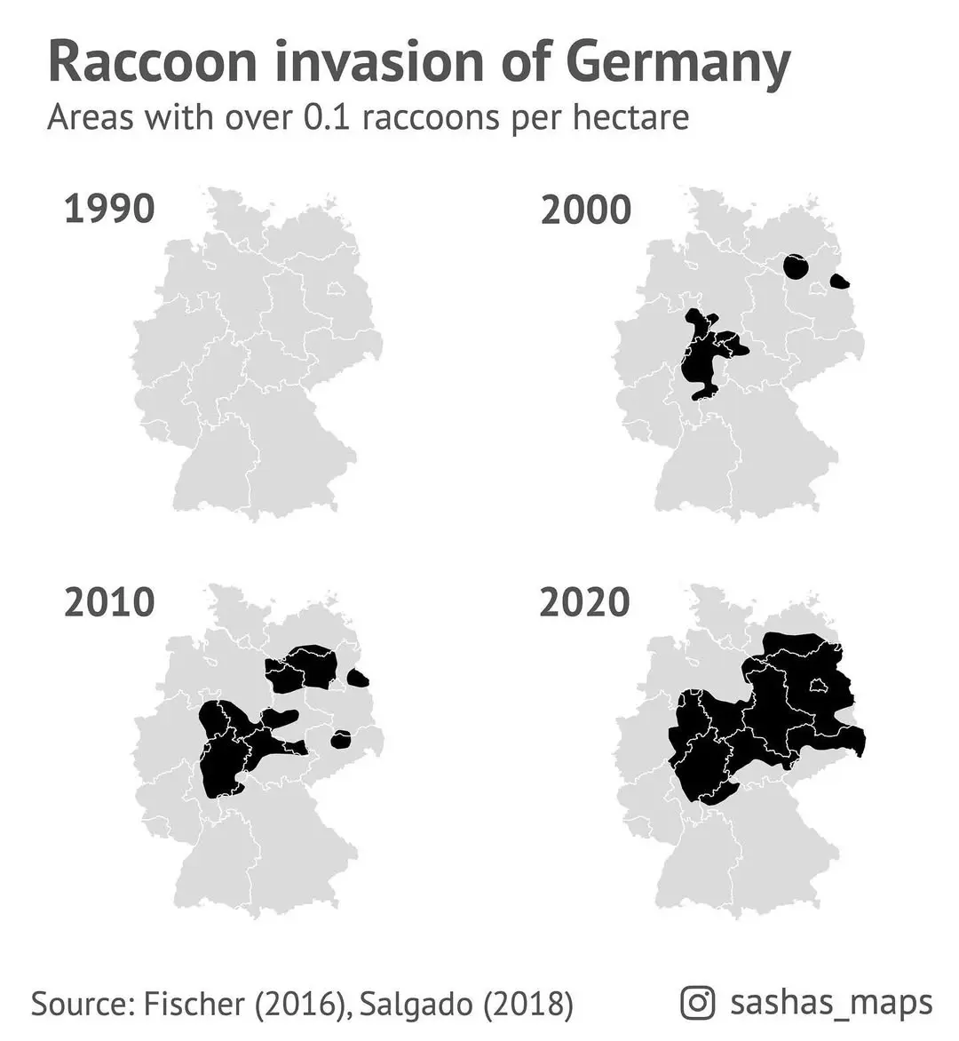 Map of Germany showing raccoon invasions (over 0.1 raccoons per hectare) as share of affected territory. Approximately 0% in 1990, 5% in 2000, 15% in 2010 and 35% in 2020. Source: sashas_maps on Instagram.