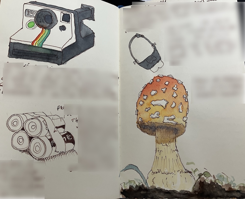 A spread containing various sketches: an old polaroid, a stack of batteries, some magnifying glasses and a bright orange mushroom with whit cruft-thingies all over the top