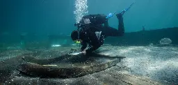 Une épave antique sortie de l’eau