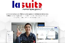 Peu utilisés, instables... les logiciels made in France de l'État coûtent un pognon de dingue