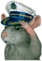 rat salute