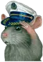 rat salute