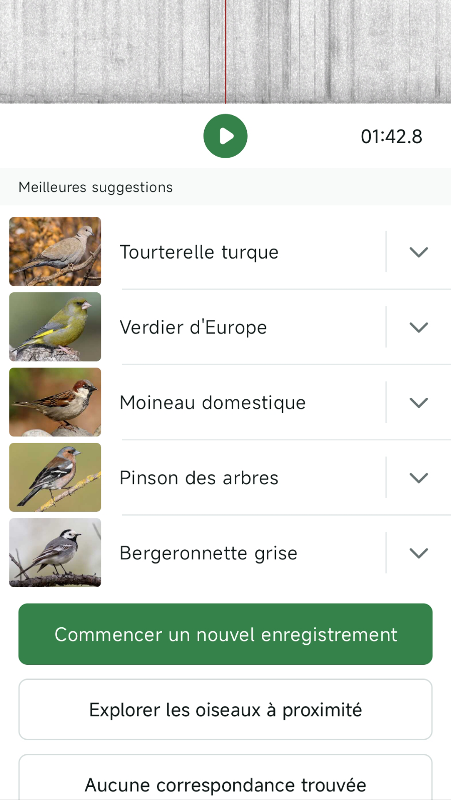 screenshot de l'application Merlin Bird