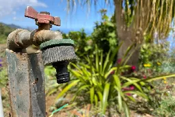 Face à la sécheresse à La Réunion, professionnels et particuliers s'organisent - Réunion la 1ère