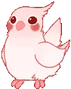 bouncy bird