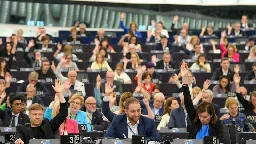 Environnement : les bons et mauvais élèves du Parlement européen, selon l'ONG Bloom