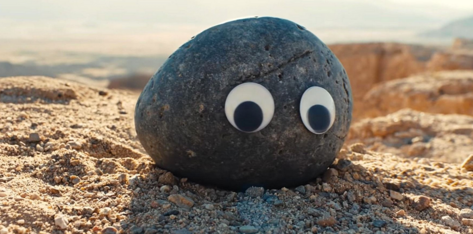 A rock with two googly eyes.