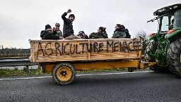 Colère des agriculteurs : retour sur les raisons européennes de la grogne - Public Sénat