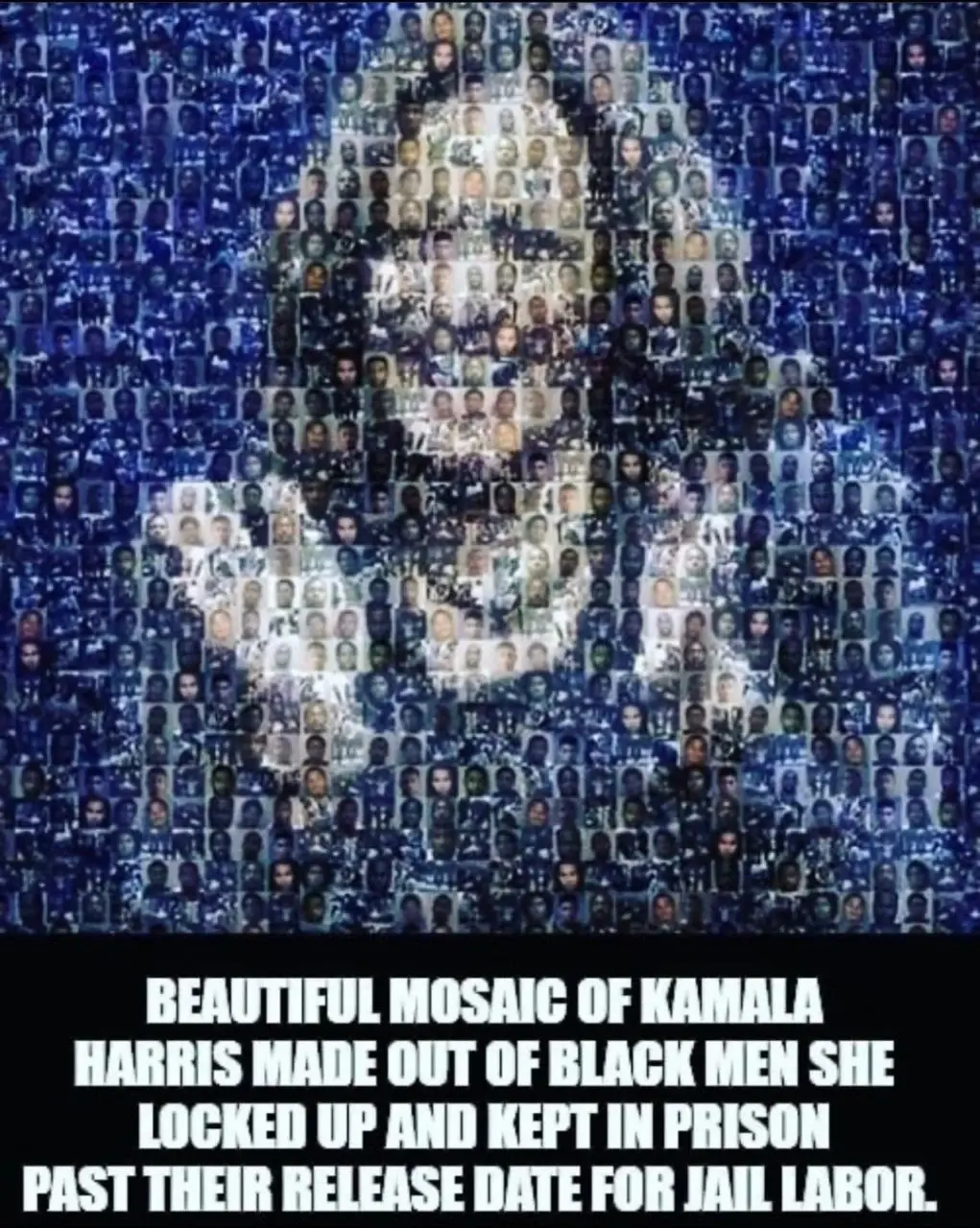 the caption describes the picture:

"beautiful mosaic of Kamala Harris made out of black men she locked up and kept in prison past their release date for jail labor"