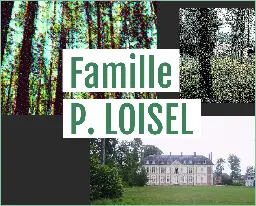 [Fiction interactive] Famille P. LOISEL