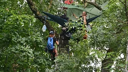 VIDEO. LGV Bordeaux-Toulouse : des militants grimpent dans les arbres pour s’opposer à leur abattage prévu début septembre