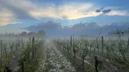 Climat : à Carpentras, les viticulteurs tentent de contrôler la grêle en ensemençant les nuages