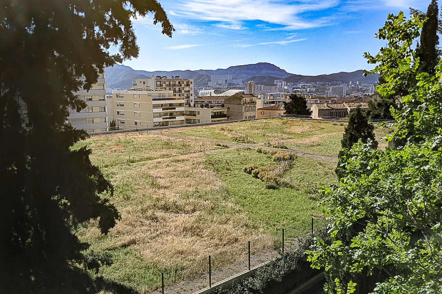 En vidéo | Une grande prairie pousse sur un toit en plein centre de Marseille