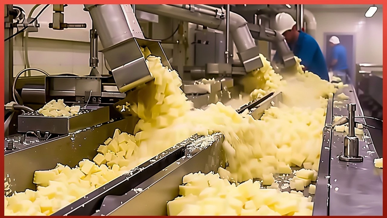 Why Parmesan Cheese is So Expensive | Production Process of $1000 Parmesan Wheels