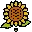 tournesol_bot