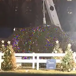 Des vents violents renversent l’arbre de Noël national devant la Maison Blanche - Avresco