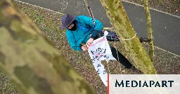 Canal Seine-Nord Europe : des militants occupent des arbres contre le « chantier du siècle »