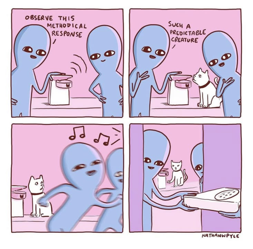 Panel 1 - Being 1: Observe this methodical response. (It is opening a can of catfood with an electronic can opener that is making sound.) Panel 2 - Being 1: Such a predictable creature. (There is now a cat sitting near the can of catfood.) Panel 3 - (There is the sound of the doorbell ringing. Being 1 and 2 rush off. The cat is surprised at this development.) Panel 4 - (Being 1 and 2 are accepting a pizza they ordered. The can is understandably angry that they forgot to finish feeding it.)