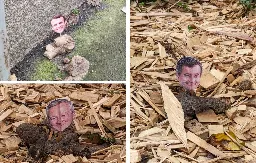 Qui pose des photos d’hommes politiques sur des crottes de chien à Rennes ?