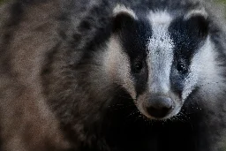 Michel d’Oultremont : “La Belgique recèle des trésors naturels insoupçonnés”