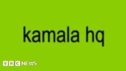 What is Kamala Harris' 'brat' rebrand all about?